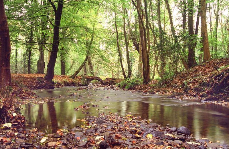 Maes Y Mel- A Couples, Pet Friendly, Rural Romantic Getaway With Countryside Views Gellywen Εξωτερικό φωτογραφία